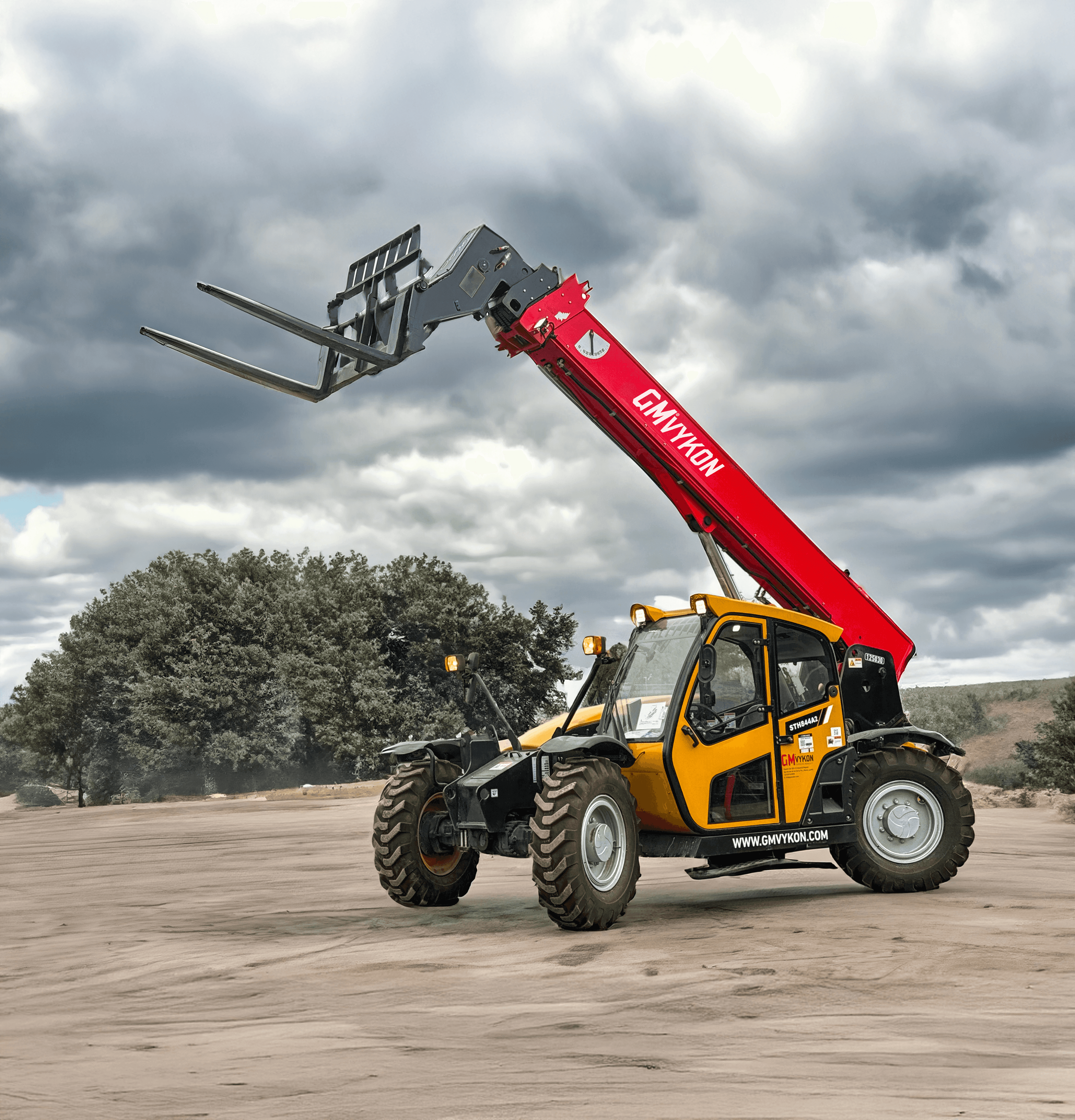 Imagen del artículo